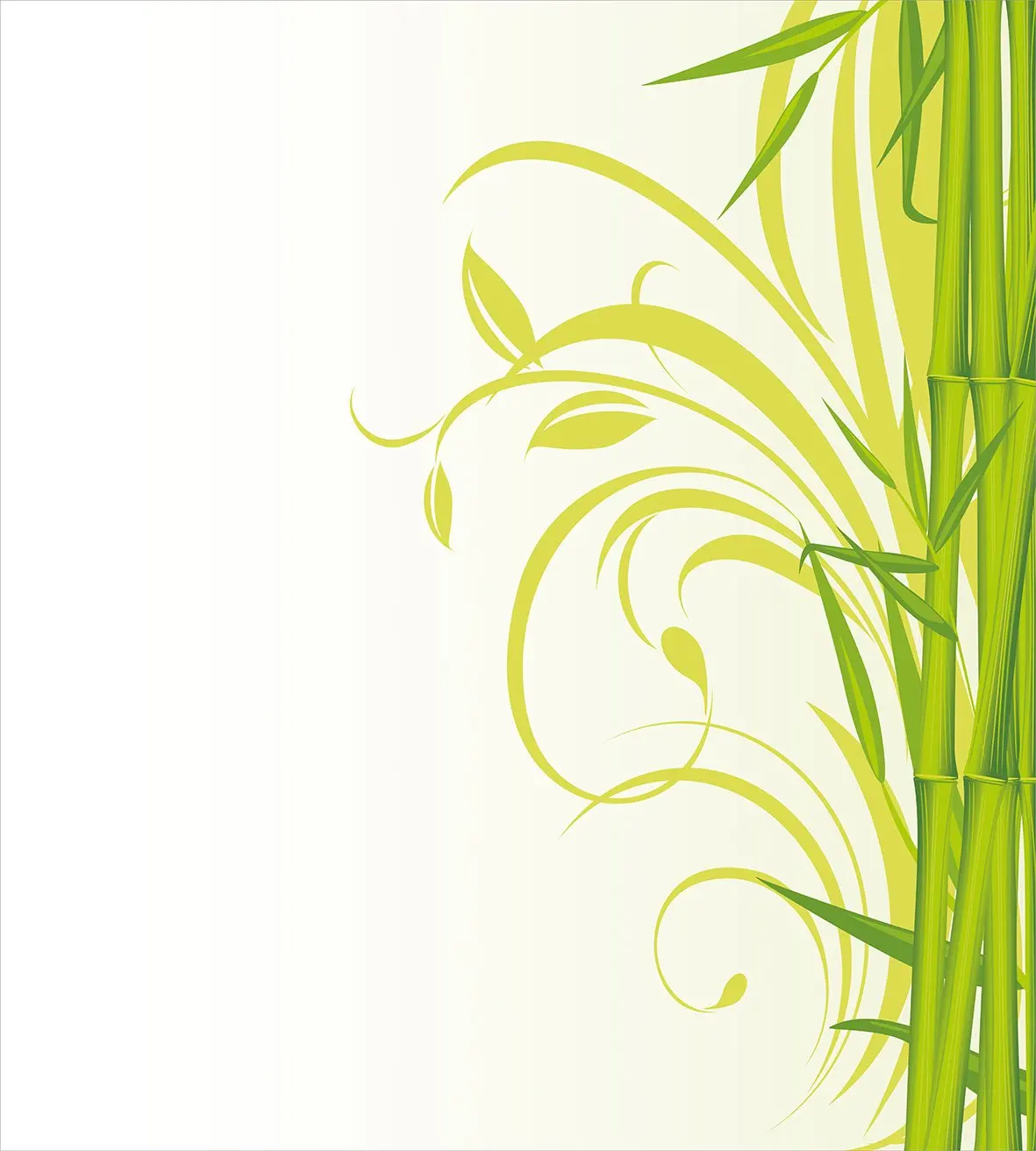 Green Duvet Cover Set Bamboo with Floral Curly Leaves Feng Shui Garden Decorative 3 Piece Bedding Set with 2 Pillow Shams Queen