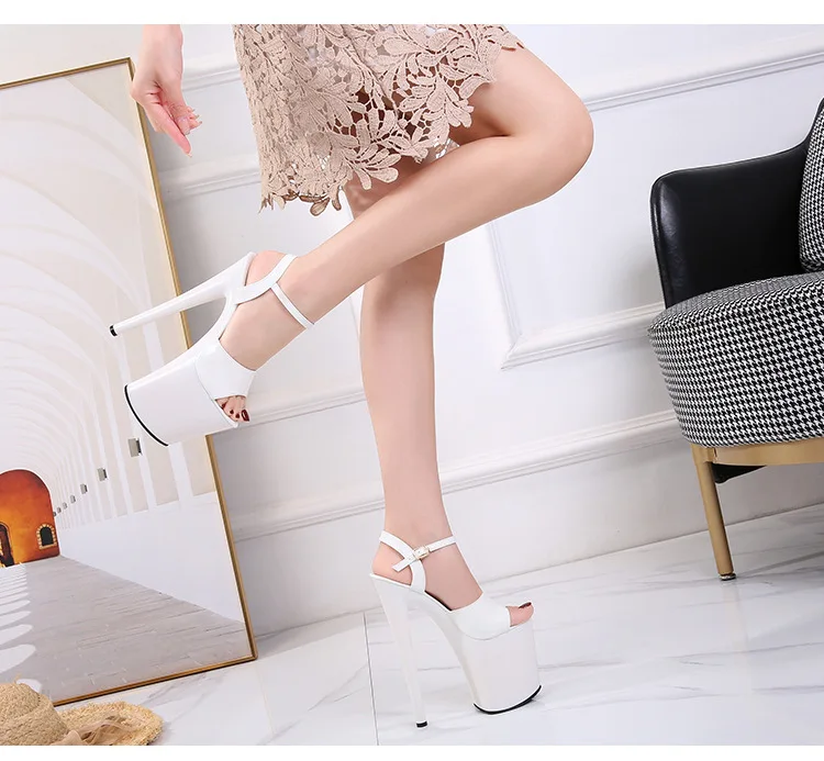 14020313941_2138732029