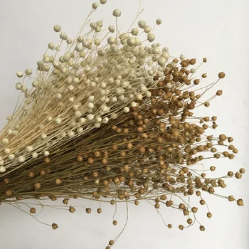 

Dried Flowers 50g/26cm Natural Dry Beans Plant,Display Floral For Shopwindow Home Wedding Favor Easter Decore, Diy gift Box