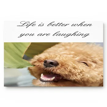 

Animal Dog Smile Happy English Non-slip Doormat Bathroom Accessories Set Floor Carpet Home Decor