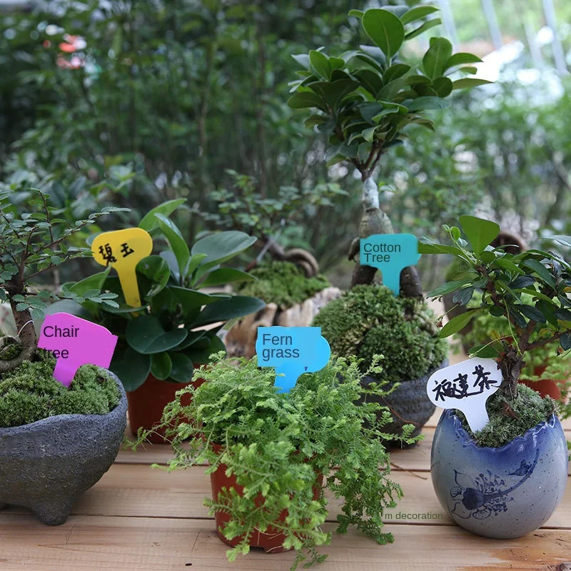 100Pcs Garden Labels T-type Plant Labels Classification writing plate board Nursery Pots Garden Plant Seedling Mark Tools YJN