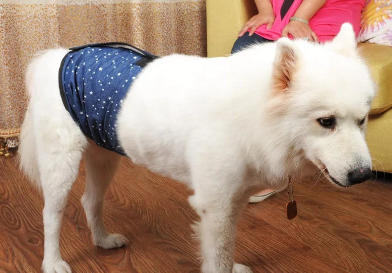 Pet Physiological with Menstrual Panties Male Dog Menstrual Panties Diaper Golden Retriever Menstrual Panties Satsuma Men's Dog