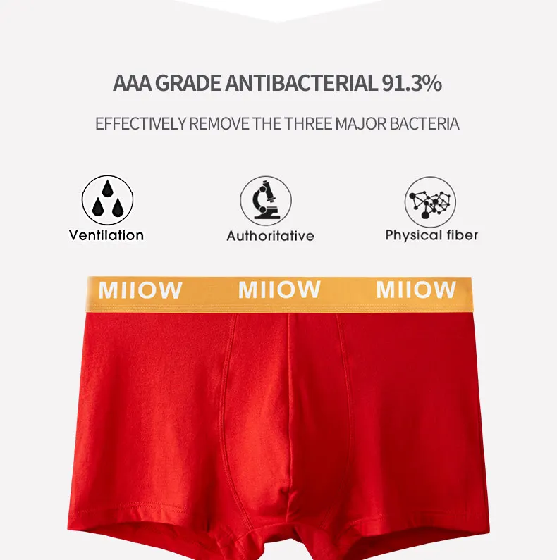 Organic Cotton Boxer Shorts Set