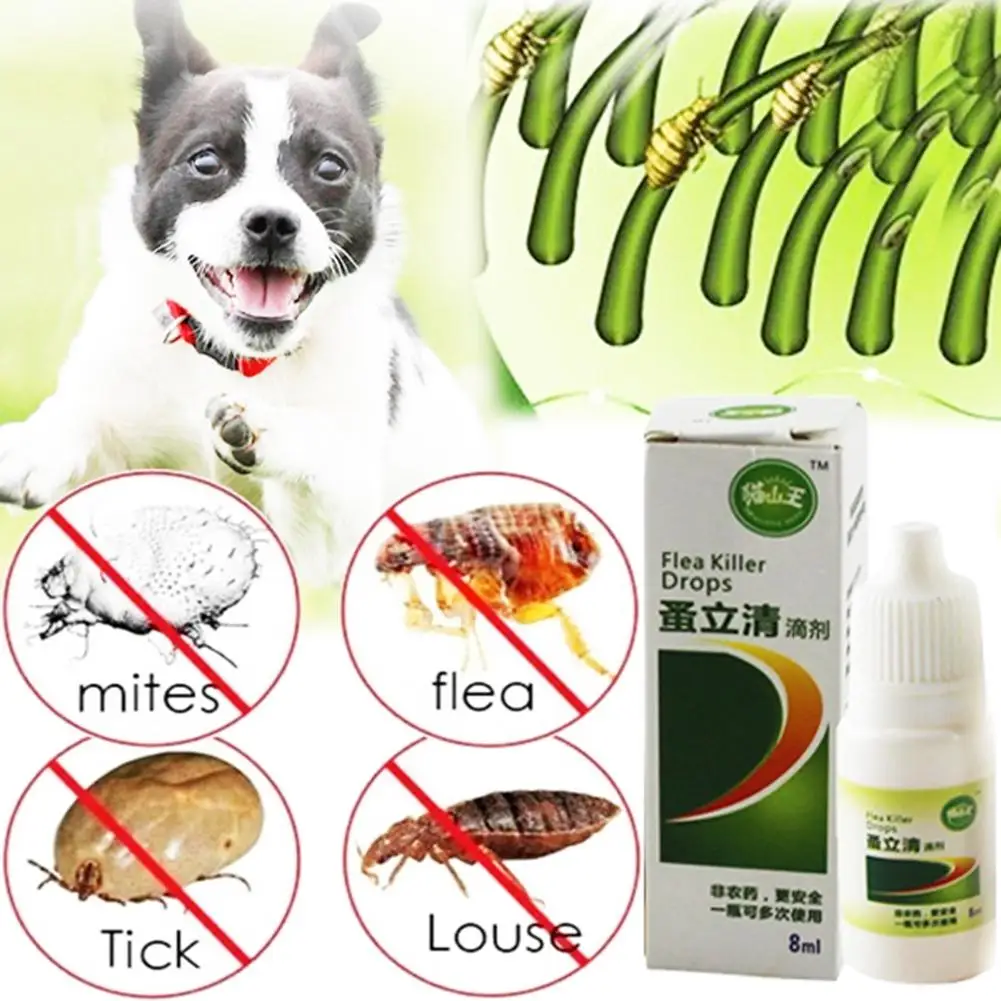 8ml Liquid font b Pet b font Dog Catss Insect Killer Spray font b Pet b