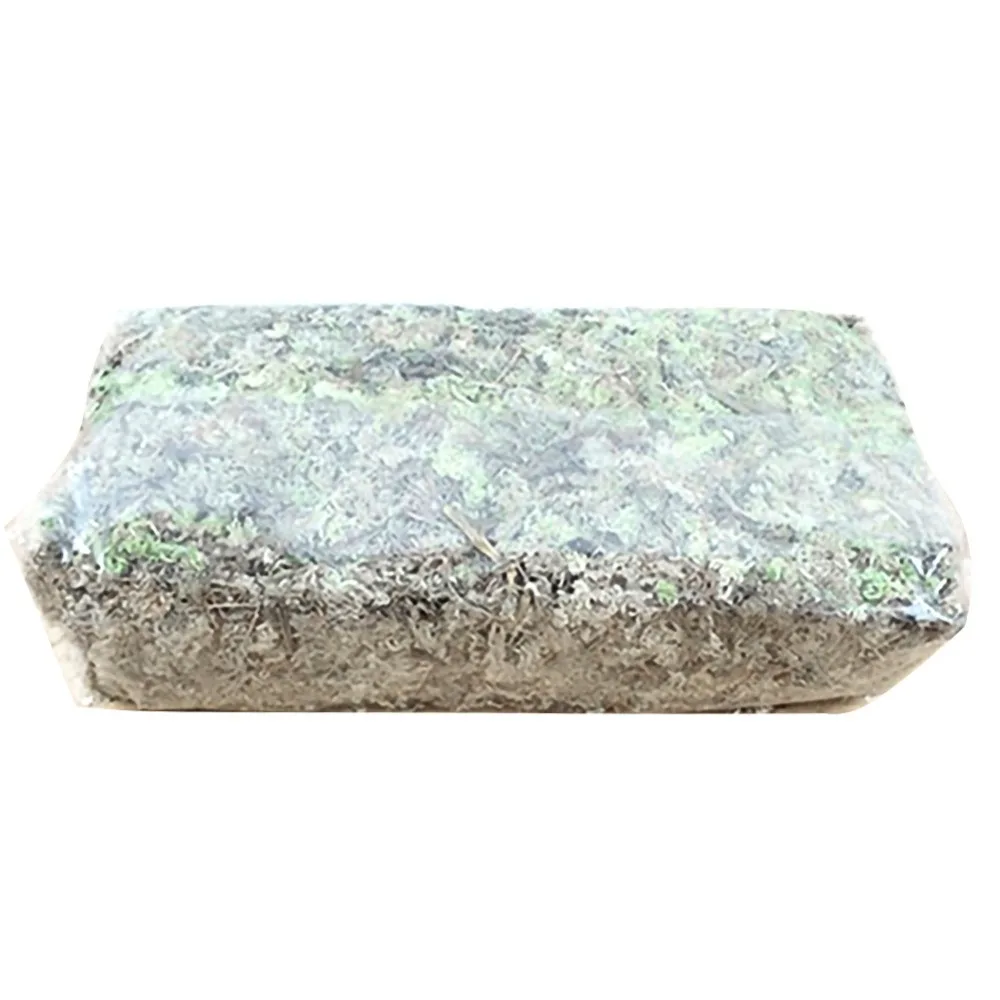 21bd3b0324baf8e0168923142824d747