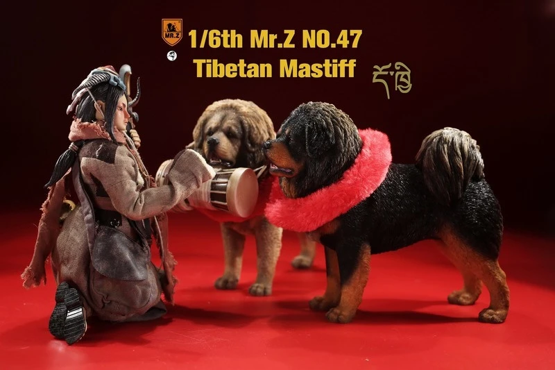 O1CN01qPfc2s1bQiz6tMlh4_!!3230463460