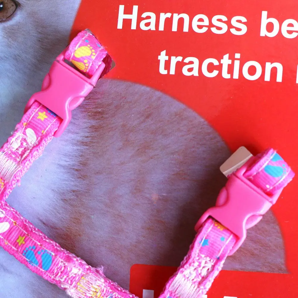 C11531902301_2994375831_49960053