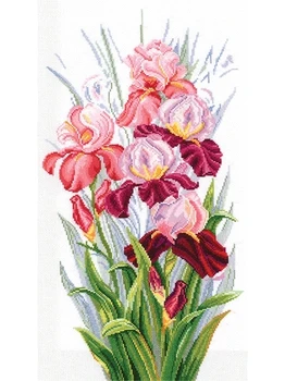 

Set for embroidery Andriana T-14 "Celebration of irises"