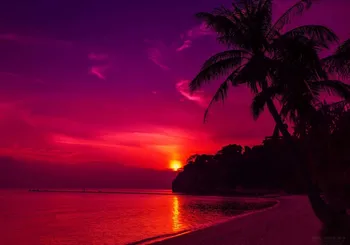 

JMINE Div 5D Lake Sunset palm tree beach Full Diamond Painting cross stitch kits art Scenic 3D paint by diamonds