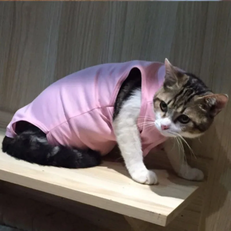 Pet Cat Hoodies Suit Anti-Mite Sterilization Suit Professional Recovery Suit Cat After Surgery Clothing