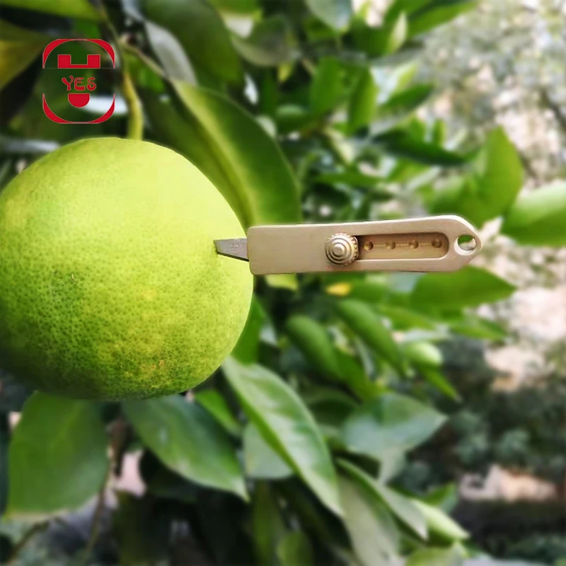 微信图片_20190923135340