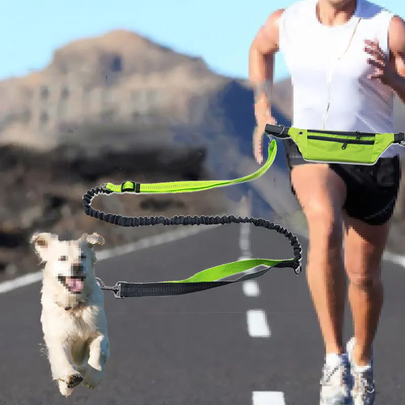 Retractable Hands Free Pet Dog Leash for Running Jogging Sports