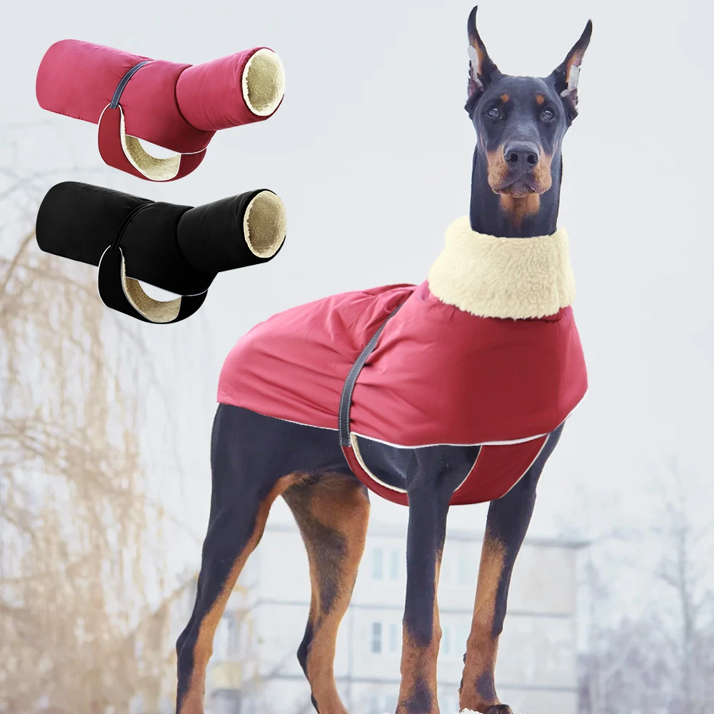 Abrigo de cuello alto perro, chaqueta impermeable invierno, ropa para perros medianos y grandes, danés, galgo grande|Abrigos y chaquetas para perro| - AliExpress