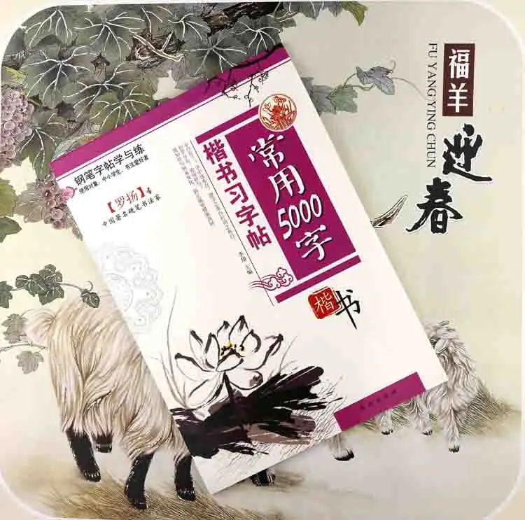 Китайская каллиграфия ручка для тетради карандаш практическая книга булавка Инь пиньинь китайские персонажи Обучающая книга 5000 слов