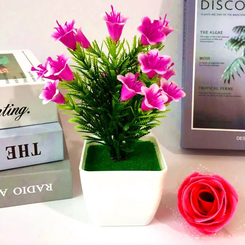 Fuchsia Lily 18cm