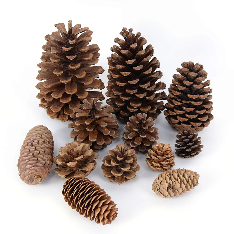 Natural Pine Nuts Fruit Fake Plant Pine Cone Flower Pineapple Cones For Home Wedding Christmas Wreath Party Decor Xmas DIY Craft
