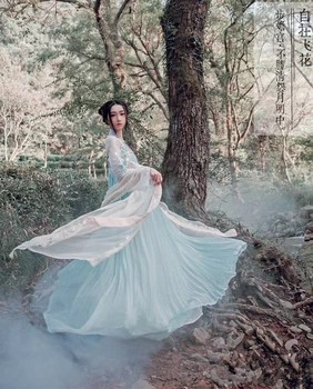 

2020 women chinese style traditional folk dance costume oriental han dynasty fairy performance hanfu crane singer printed skirt