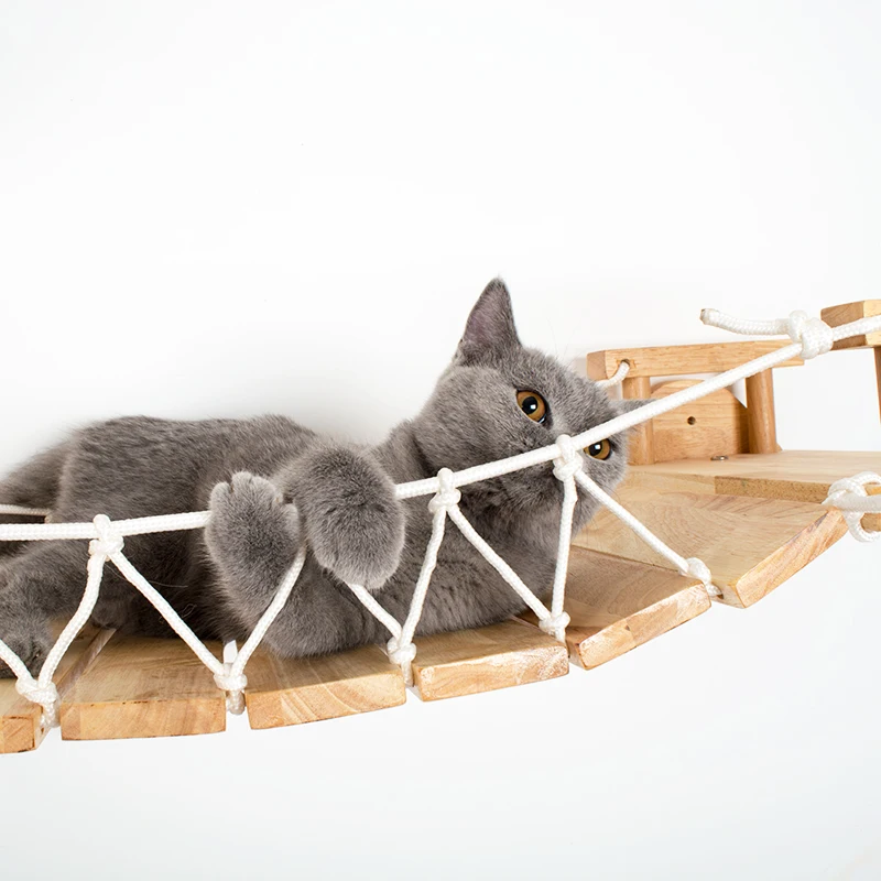 O1CN01TqGndN1vWUF9jjt7b_!!462886180