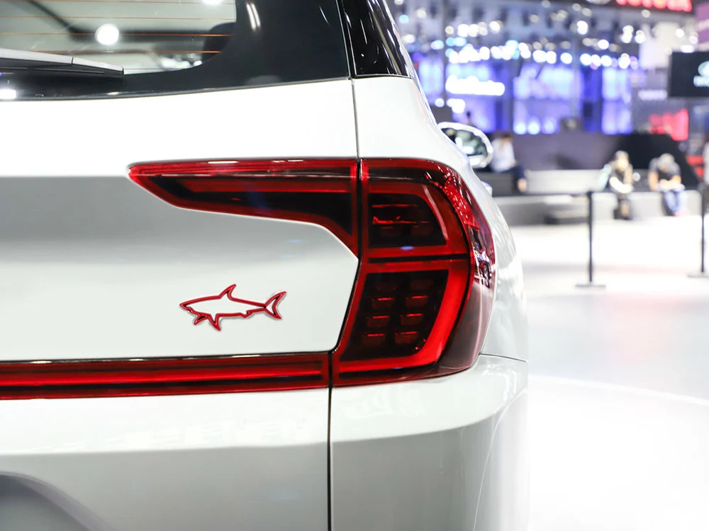 133671429_1550742548135_1024