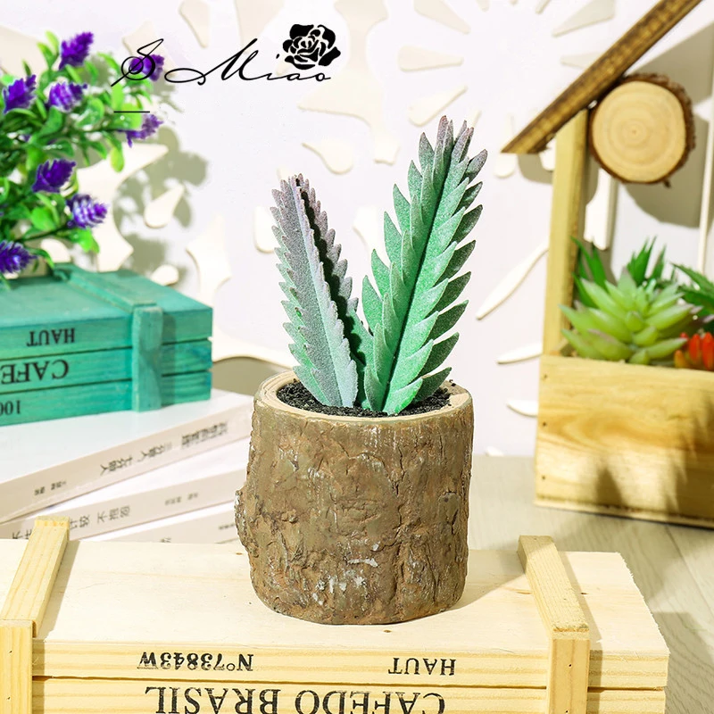 11344460677_98600638