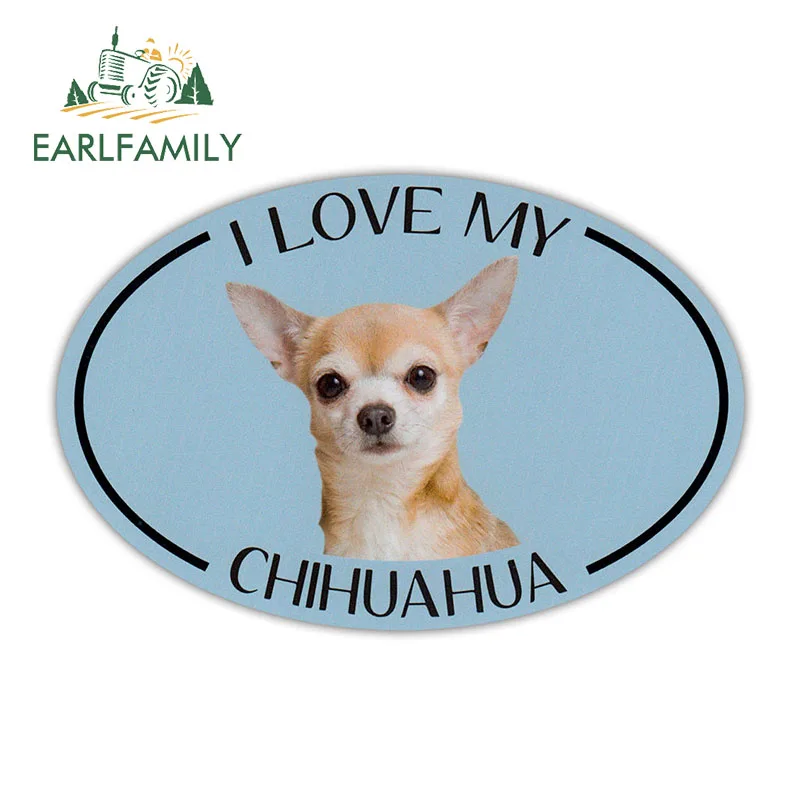 валентинки с чихуахуа. люблю чихуа. люблю чихуа. чихуахуа мемы. люблю чихуа.