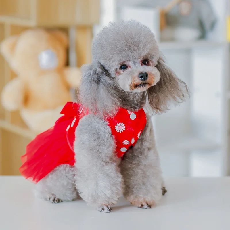 Одежда для собак Свадебные аксессуары для домашних животных собака щенок симпатичное платье Тедди маленькая принцесса собаки платья средней длины