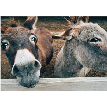 

Diamond embroidery animal cross stitch diy diamond painting donkey full circle diamond inlaid rhinestones home decoration