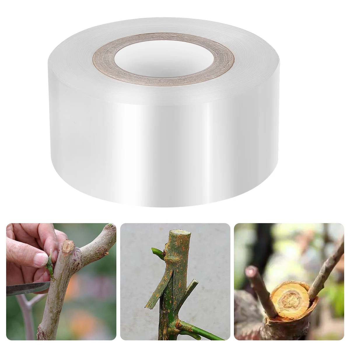 Yardwe PE Grafting Tape Stretchable Moistureproof Clear Floristry Film for Pecans Walnuts Citrus Avocado Fruits Tree 30mmx100m |