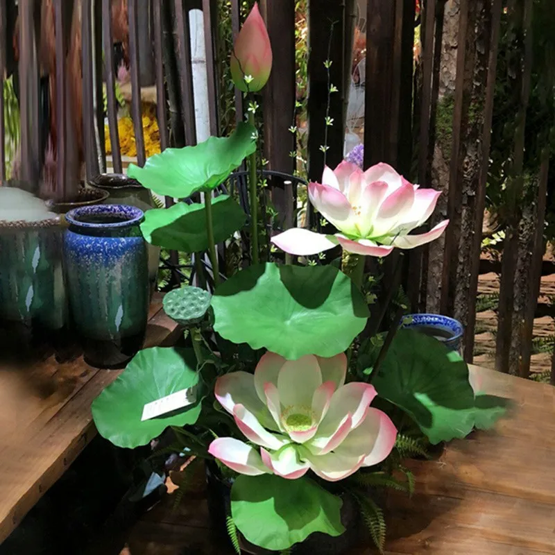 ZYD00640-01-ZYD00640-10-C8