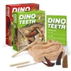 Dinosaur Claw & Tooth Fossils Dinosaur Teeth Fossils Excavation Kit  Digging Dinosaur Archeology Kit For Kids Dino Dig Kit Toy 1