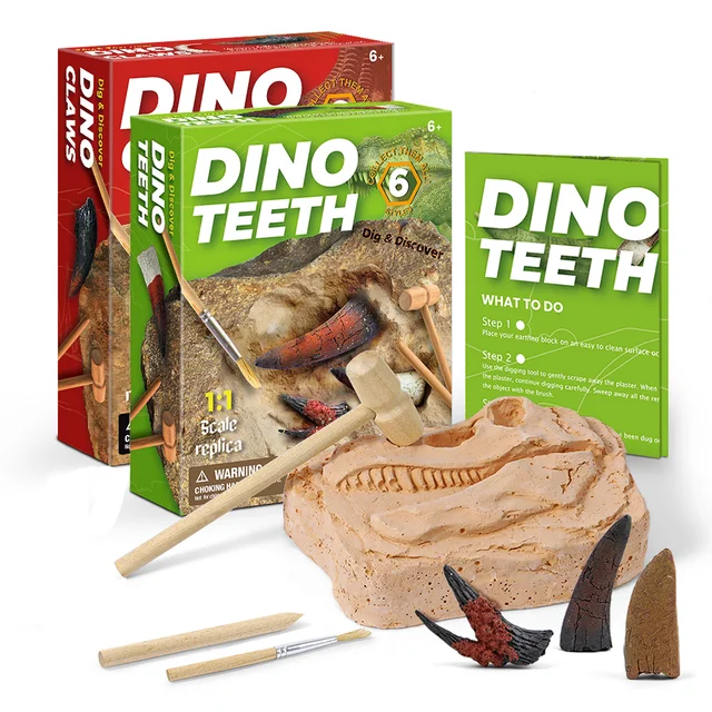Dinosaur Claw & Tooth Fossils Dinosaur Teeth Fossils Excavation Kit  Digging Dinosaur Archeology Kit For Kids Dino Dig Kit Toy 1