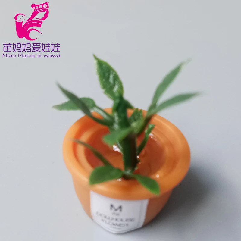 IMG_20200723_120019 拷贝