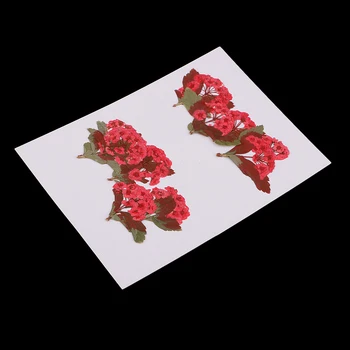 

10 Pieces Pressed Flowers Statement Suitable For DIY Scrapbooking