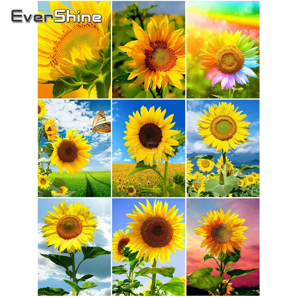 EverShine Раскраска по номеру подсолнух Ручной росписью искусство стены Домашнего декора