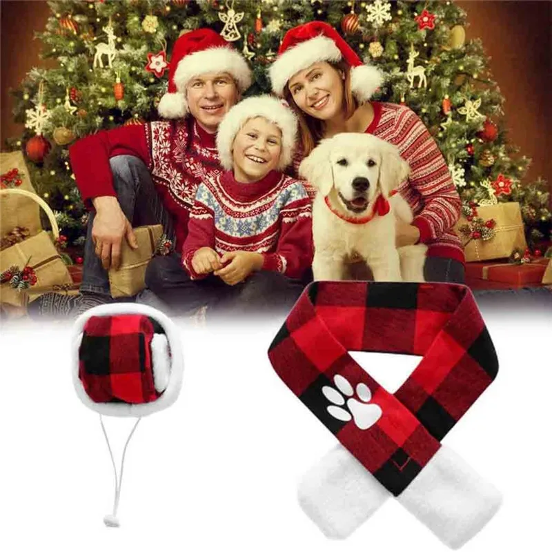 HQJ91023575L_0212324961715388747