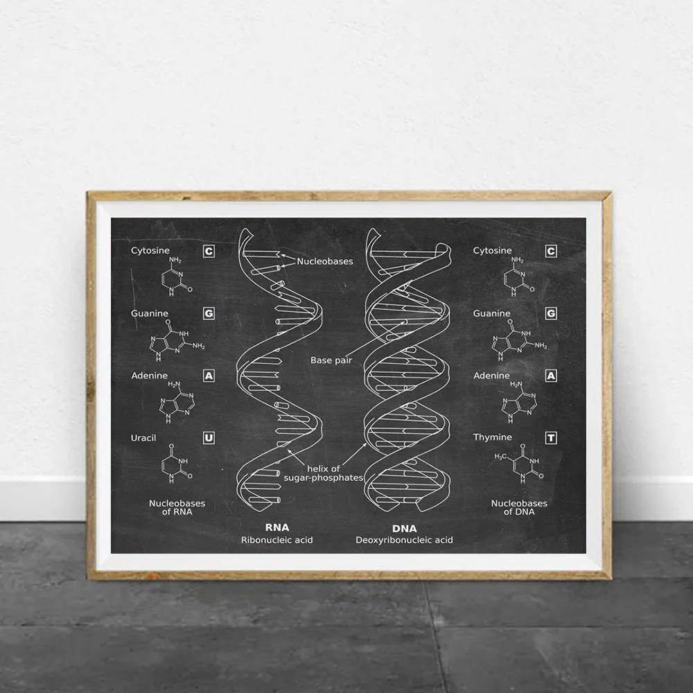 

Genetics DNA Patent Vintage Print Biology Abstract Canvas Painting Blueprint Medical Student Gift Picture Science Wall Decor