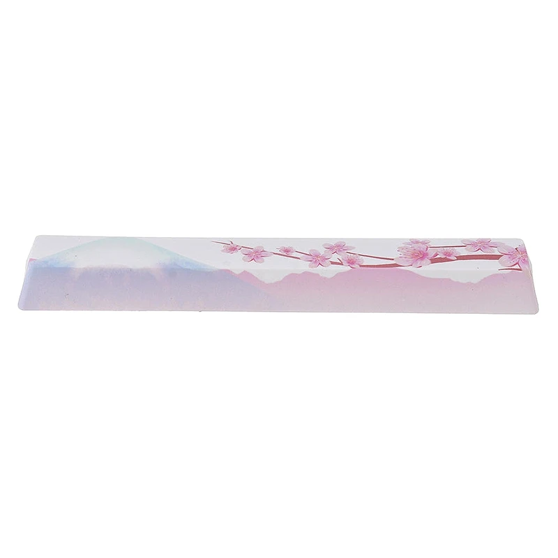 PBT Space Keycaps механическая клавиатура DIY Keycap(6.25U Space Keycap)-Fuji Cherry