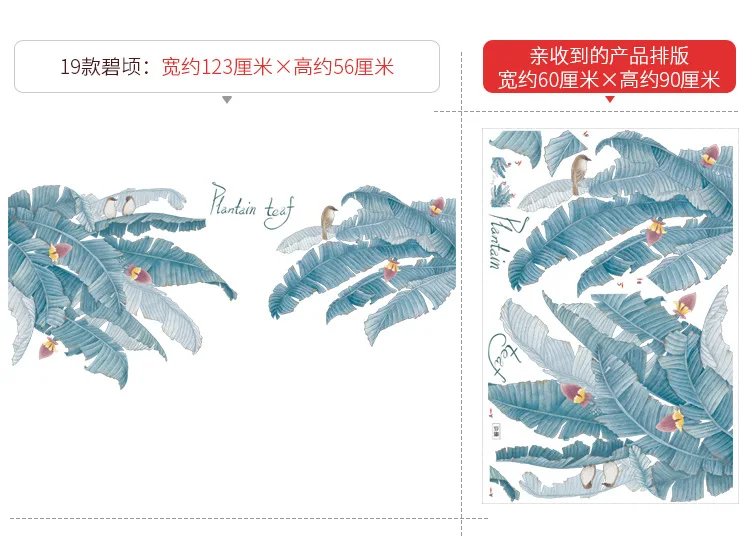 O1CN019y7PoC1rtbjBPSuY3_!!1689