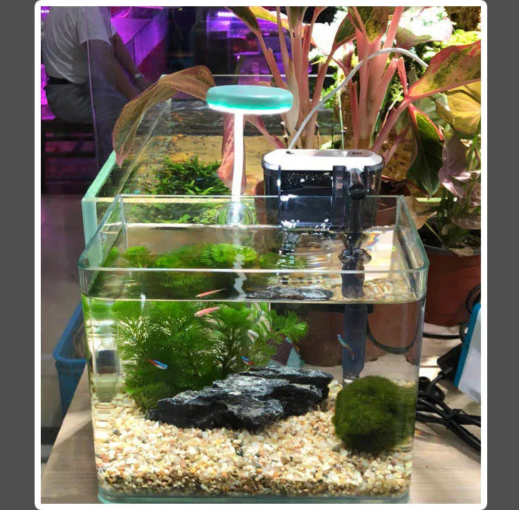 360 градусов регулируемый угол 6500k USB зарядка мини нано светодиодный светильник аквариумный аквариум вода для выращивания растений