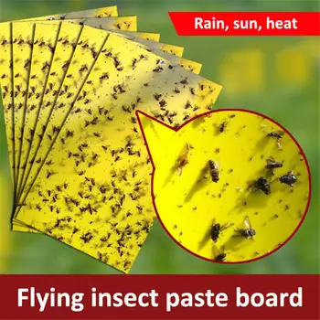 

Dual-sided Yellow Sticky Gnat Traps Sticking Flying Plant Insect Fungus Gnats for Orchard Fruit Protection