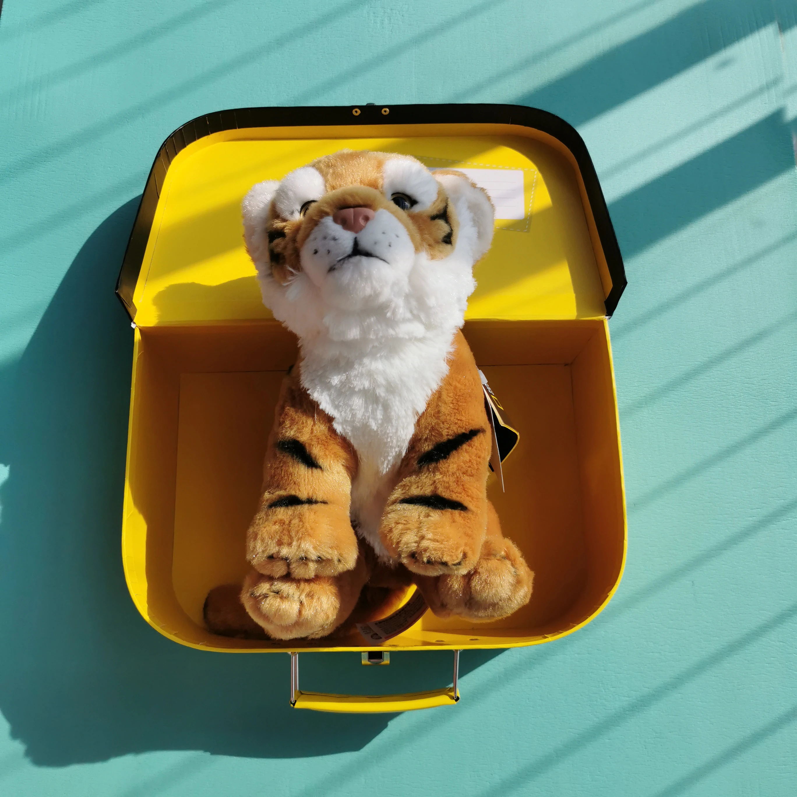 national geographic kids toys