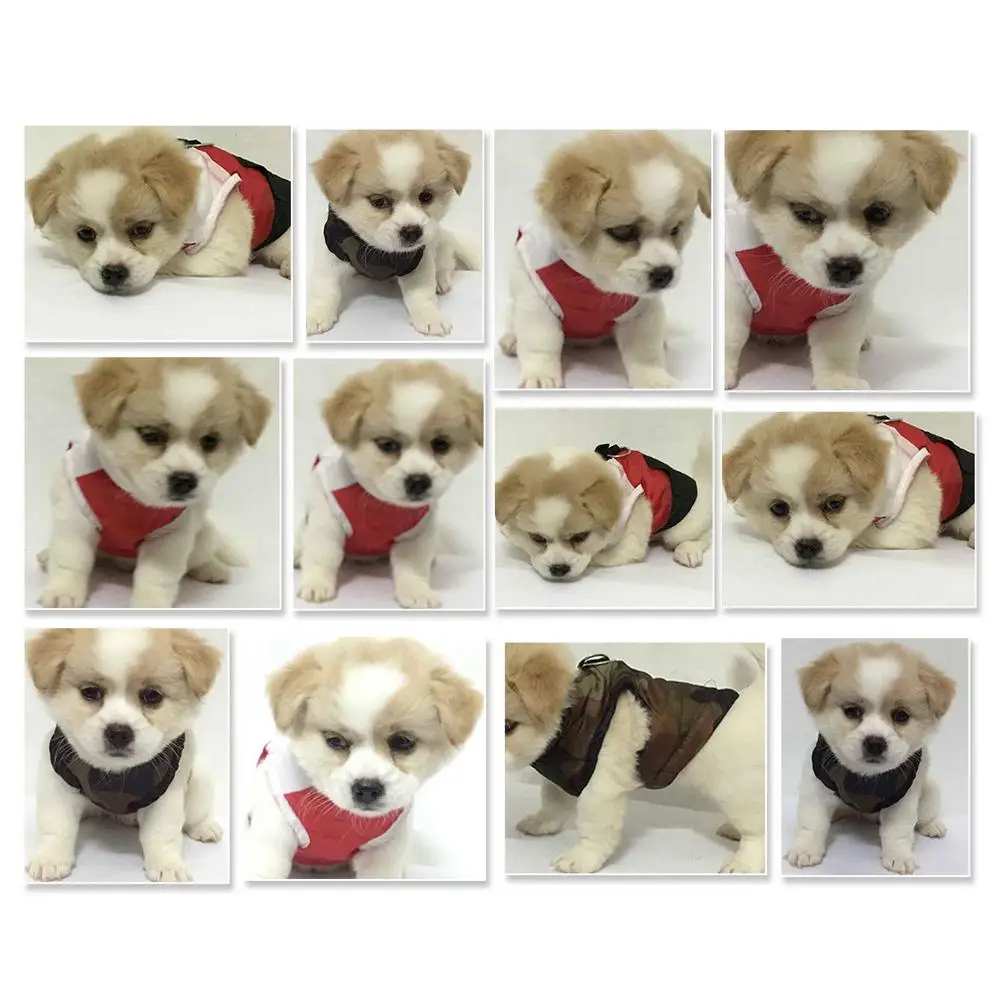 Dog Clothes For Small Dog Windproof Winter Pet Dog Coat Jacket Padded Clothes Puppy Outfit Vest Chihuahua Clothes Pet Supplies