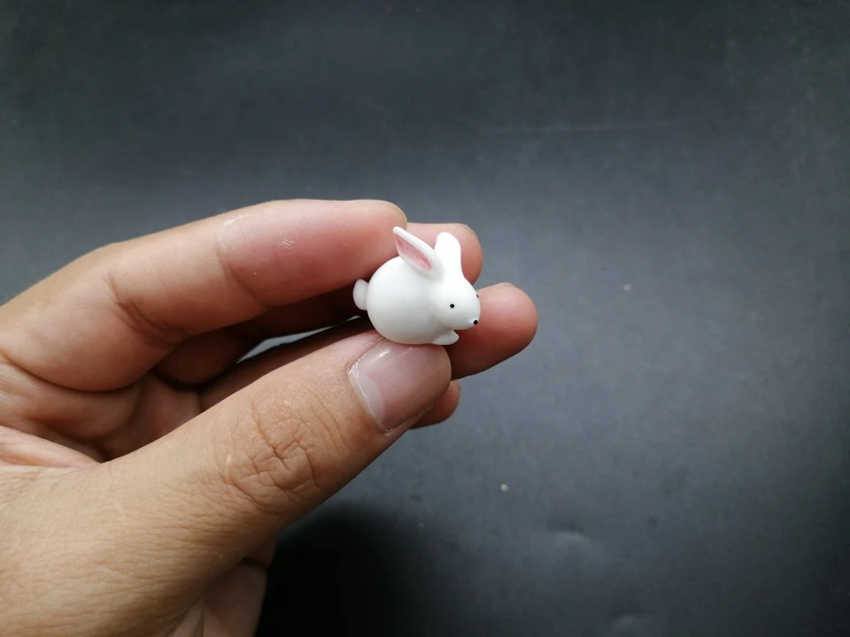 Tiny-A249 (8)