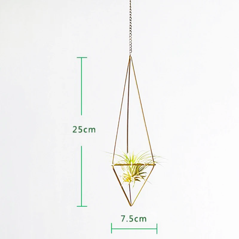 Succulent Tillandsia Air Plants Rack Holder Freestanding Hanging Pyramid Pot Tillandsia high quality