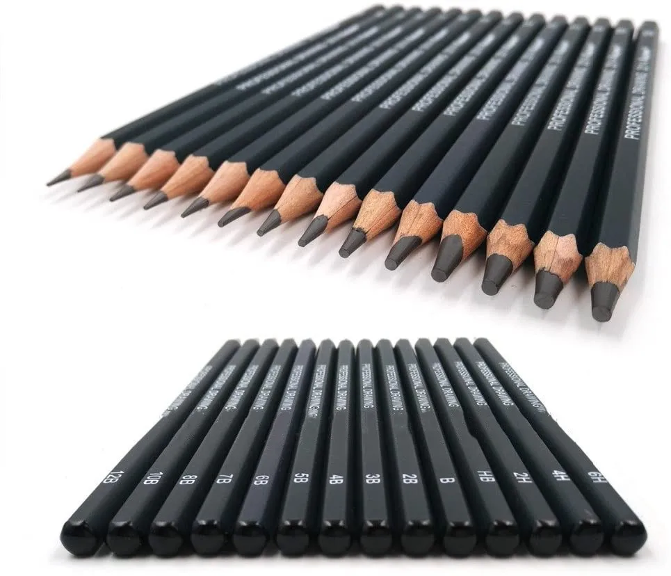 Dyvicl Juego de lápices de dibujo profesional, 12 lápices de dibujo 10B,  8B, 6B, 5B, 4B, 3B, 2B, B, HB, 2H, 4H, 6H, lápices de grafito para