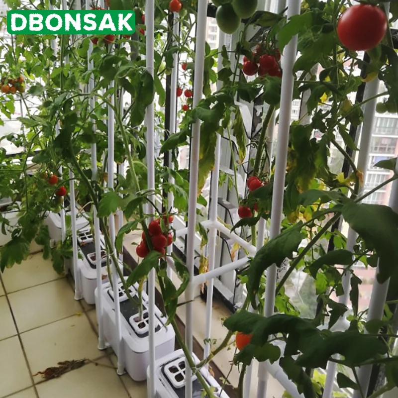 Soilless культивирование автоматическое оборудование для полива выращивания воды культура коробка Детский горшок балкон Настольный Овощной Ящик для выращивания