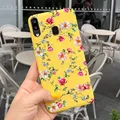 Case-c31
