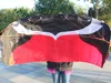 Professional 2m Stunt Dual Line Parafoil Kite With Line Power Braid Sailing Kitesurf  Sports Beach With Tools 2