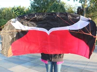 Professional 2m Stunt Dual Line Parafoil Kite With Line Power Braid Sailing Kitesurf  Sports Beach With Tools 2