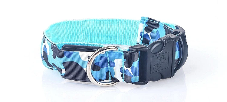 dog collar (21)